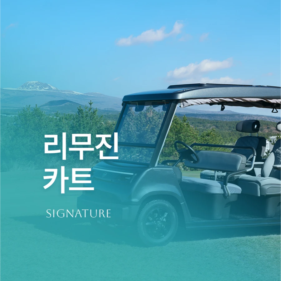 리무진카트